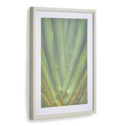 [AA8136] Lyn aloe vera cuadro verde // KH